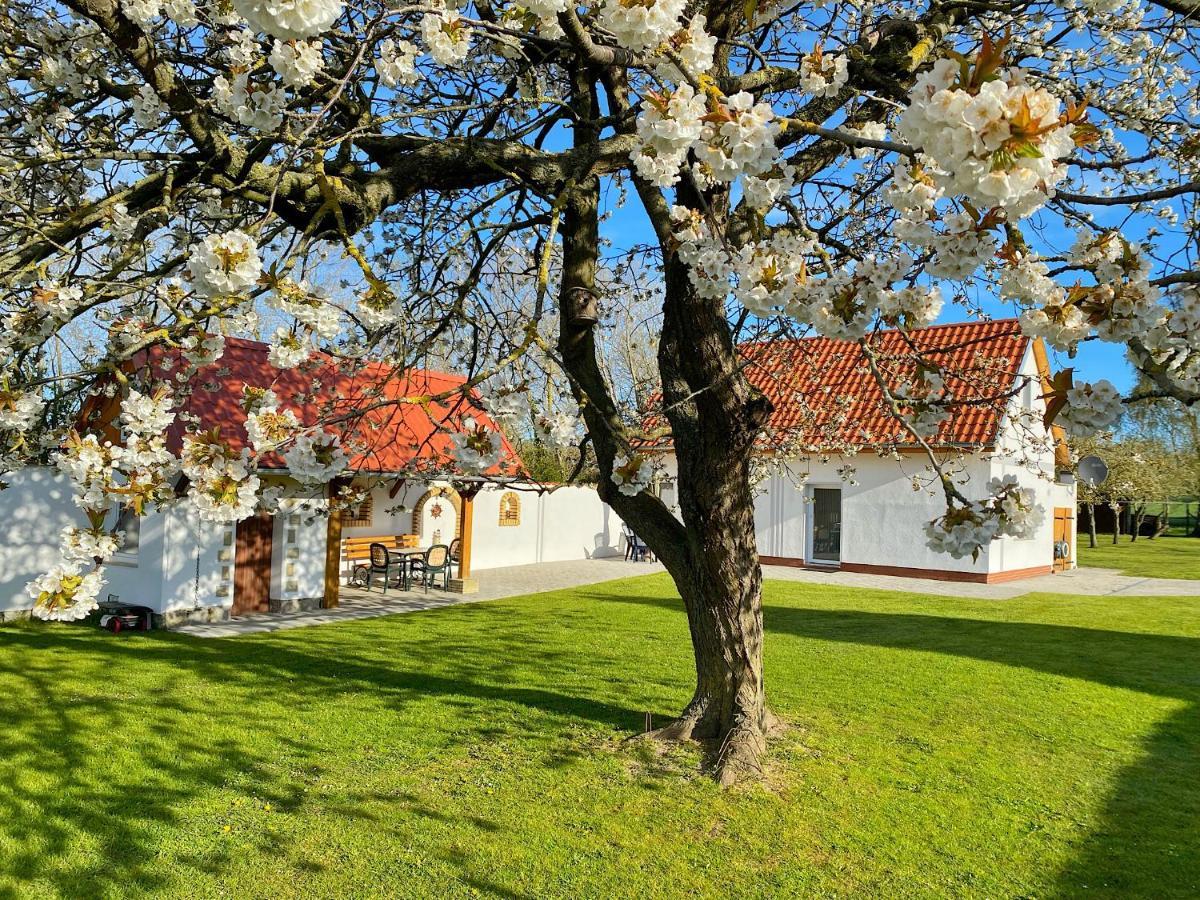 Ferienhaus Berta Засниц Экстерьер фото